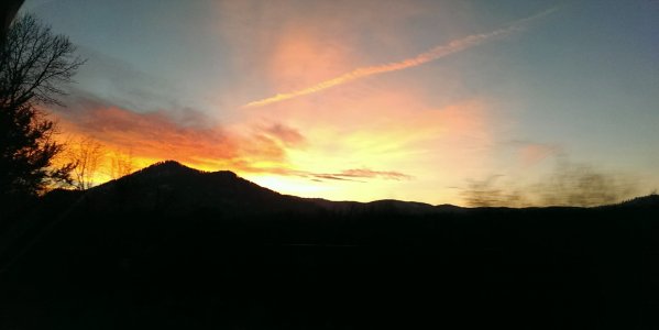IMAG1176_1.jpg