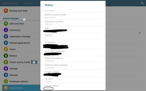 Device Status Custom1.jpg