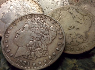 Silver Dollars.jpg