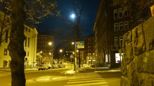 DSC_3690.jpg