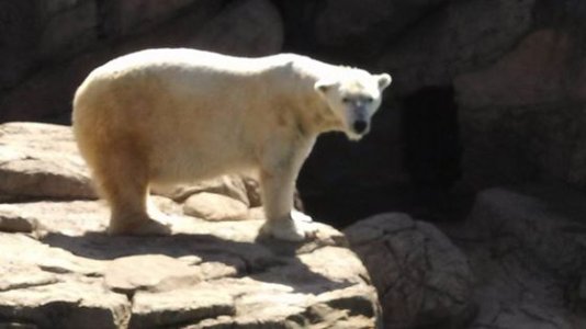 zoo8.jpg