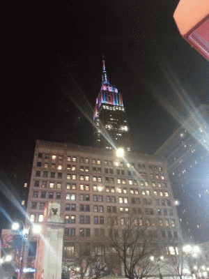 20131231_173738_12-TWINKLE.gif
