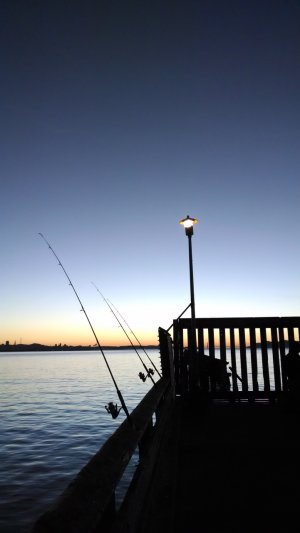 IMG_20140113_173214.jpg