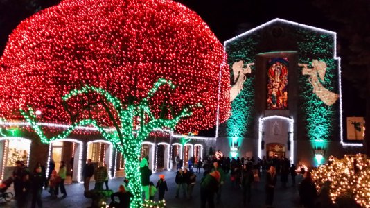 20131223_190527.jpg