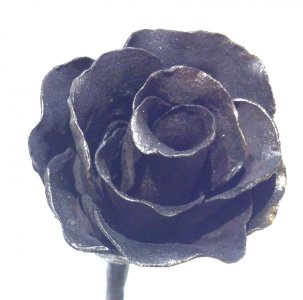 Rose Head.jpg
