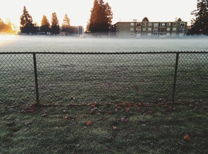 fence.jpg