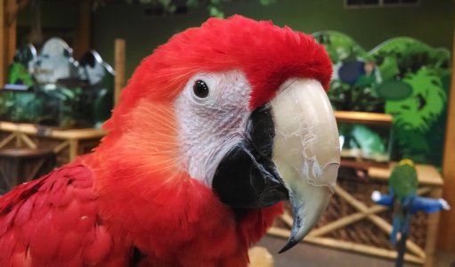 bird photo.jpg