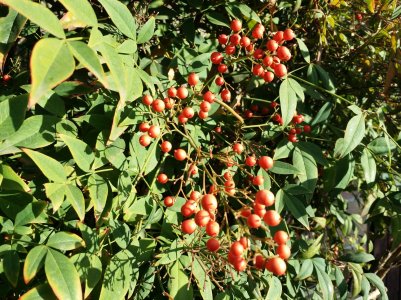 20131227_153951.jpg