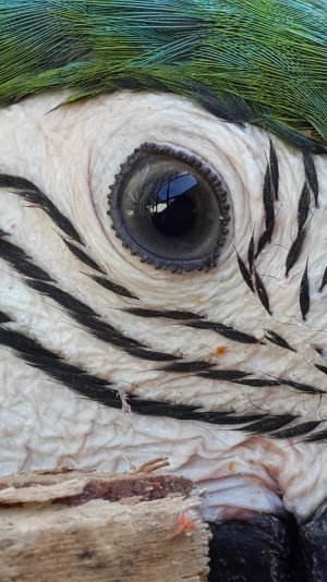 20140114_152939.jpg