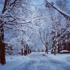 street.jpg