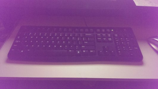IMAG0681.jpg