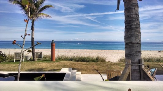 palm beach.jpg
