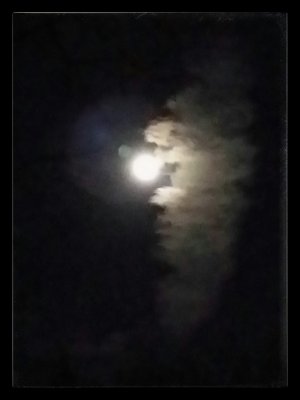 20131217_194320_1.jpg