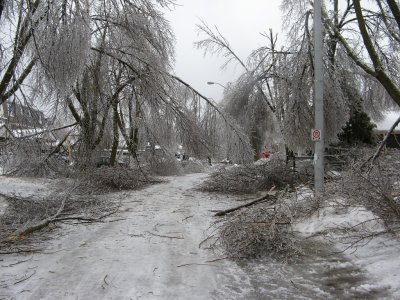 IMG_1765.JPG