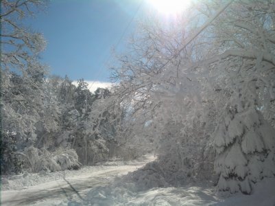 Winter 2014.jpg