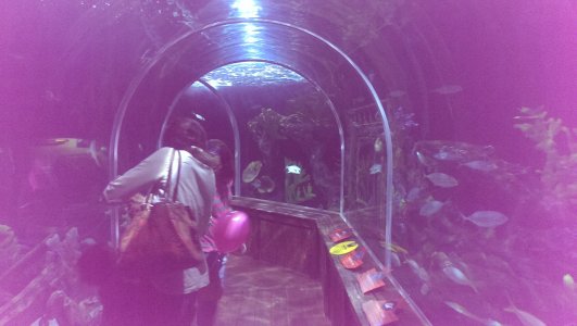 2014-03-02 14.04.40.jpg