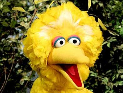 heres-how-much-money-romney-will-save-by-killing-big-bird.jpg