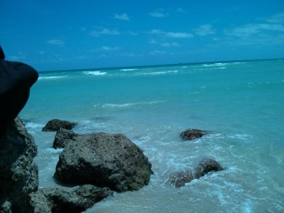 IMG_20130424_135339.jpg