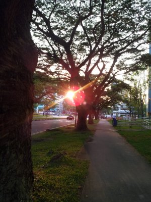 20120616_072917a.jpg