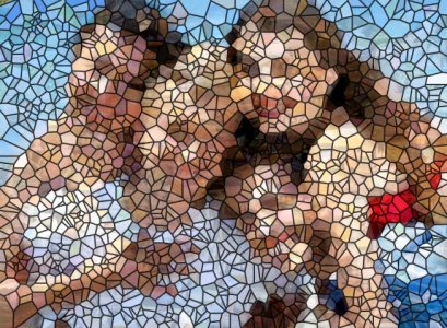 Collagics2501141109 (Small).png