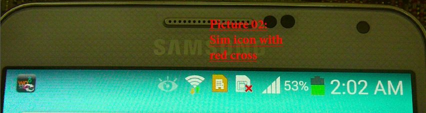 SimIconProblem.jpg