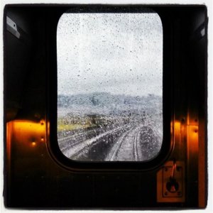 window.jpg