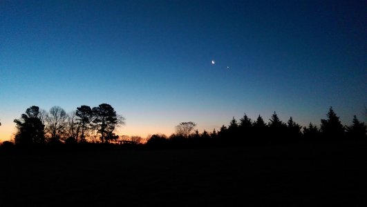 IMAG0064.jpg