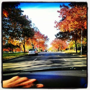 wardparkway_fall.jpg