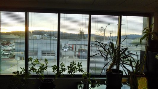 Morning Has Broken.jpg