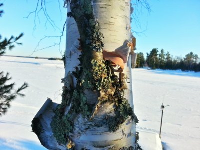 20140308_164503_HDR_1[1].jpg