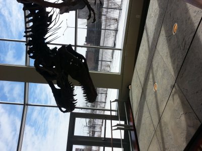 20130202_120013.jpg