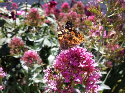 20130603_114546.jpg