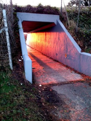 light and shadow .jpg