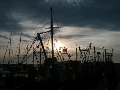 IMG_20120630_162251.jpg