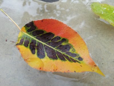 20121014_133257_small.jpg