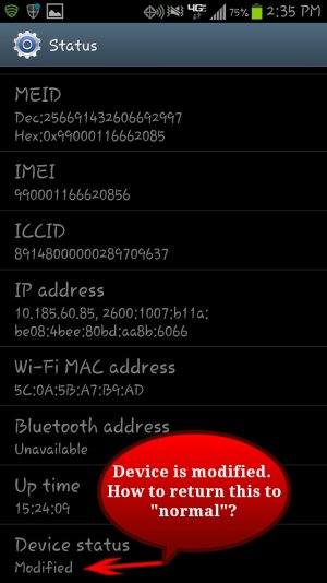 Verizon_GalaxyS3_Modified.jpg
