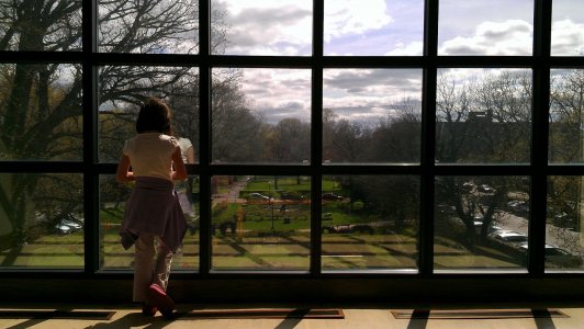 RMSC Window.jpg