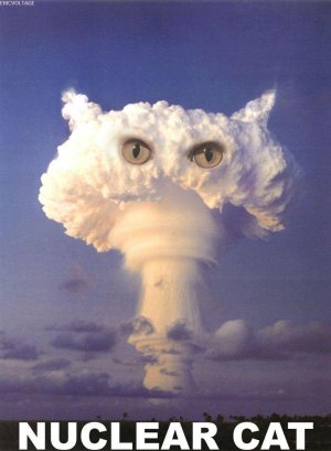 Nuclear_bea515_438595.jpg