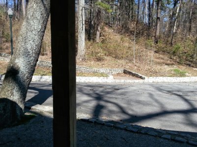 Forest Hill.jpg