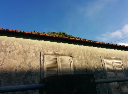 madieren house.jpg