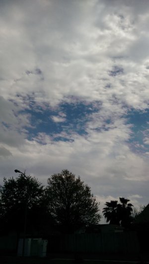 IMAG0004.jpg