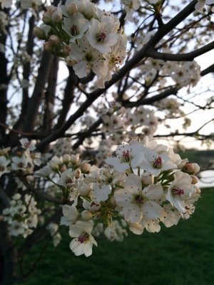 IMG_20140416_192551.jpg