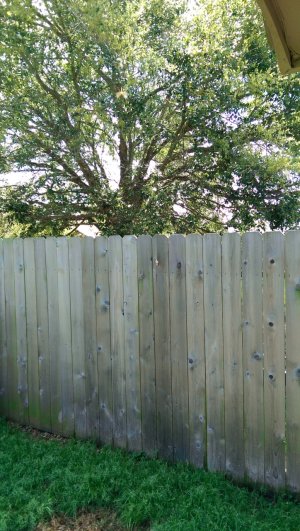 IMAG0008.jpg