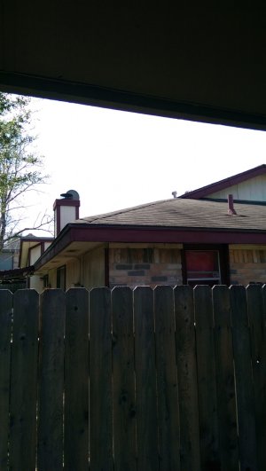 IMAG0009.jpg