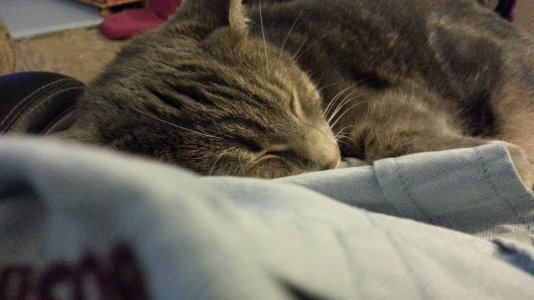 20121106_220212.jpg