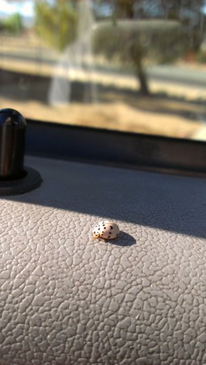 IMAG0469.jpg