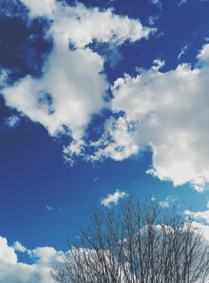 2014-03-22 06.59.22 1.jpg