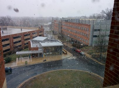 IMG_20140330_134818.jpg