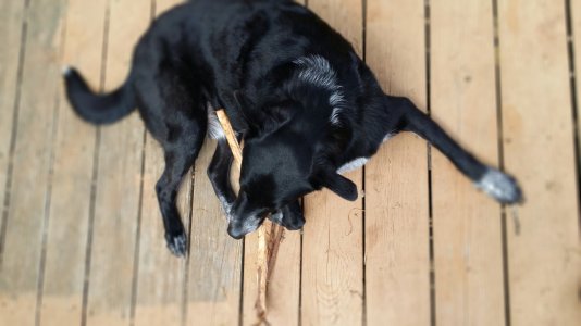 20140413012141.jpg