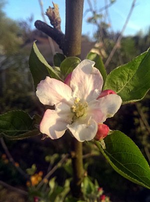 IMAG0853.jpg
